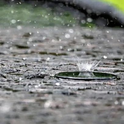 Cheiro de chuva existe? Por que apenas algumas pessoas percebem