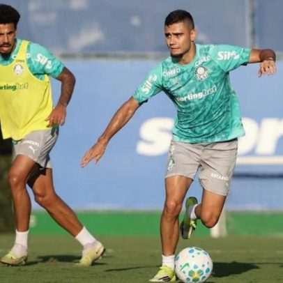 Palmeiras volta aos treinos com oito desfalques e Roque em treino individual