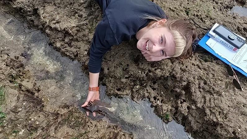 Transformação após restauração do fundo marinho protegido