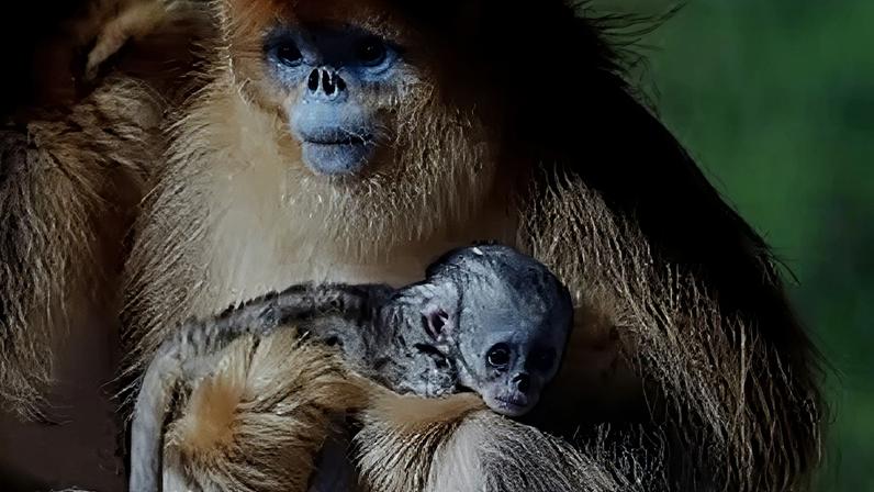 China enfrenta avanços econômicos e desafios diplomáticos no cenário global