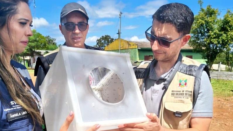 controle do Aedes aegypti