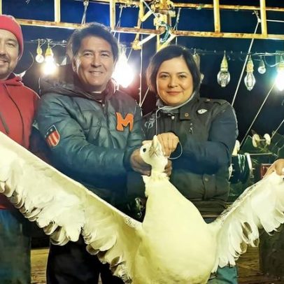 Pesca de lulas chinesas no Pacífico com abusos trabalhistas, diz relatório