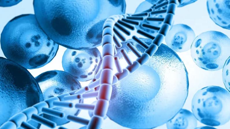 Mercado de medicina regenerativa cresce, promovendo vida ativa e longevidade