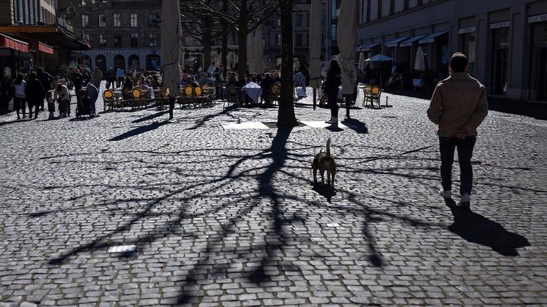 A man walks his dog near the shadow of a tree in Geneva, Switzerland, March 13, 2024. REUTERS/Denis Balibouse