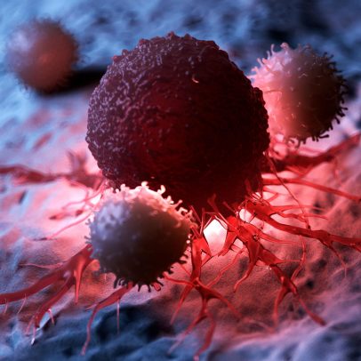 Estudo identifica molécula que freia crescimento de tumores deixando eles 'com fome'