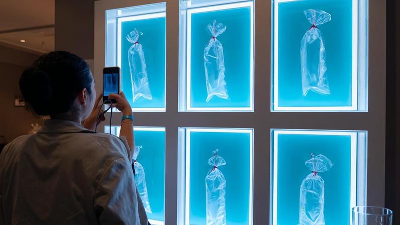 Artistas ocupam o Peninsula Hotel em Hong Kong com peixes e flores cerâmicas