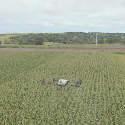 Drones ajudam produtores rurais no combate a pragas nas lavouras