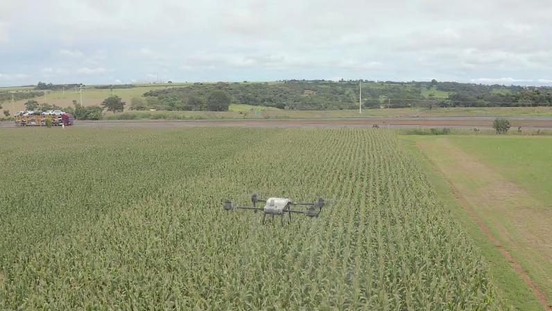 Drones garantem a segurança da pulverização no campo