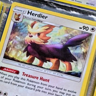 Cinco raças de cachorro reais que inspiraram os Pokémon