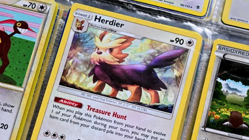 Alguns Pokémon são tão marcantes que facilmente lembram raças conhecidas pelos tutores