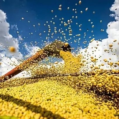 CNA inicia encontros regionais para discutir propostas do Plano Safra