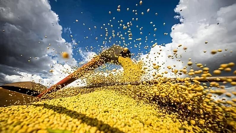 Reuniões com produtores de todo o país começam nesta semana e vão embasar sugestões ao governo para crédito, comercialização e gestão de riscos no campo