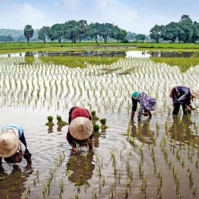 Soluções baseadas na natureza para o futuro hídrico do Delta do Mekong