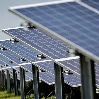 Governo decidirá sobre grande fazenda solar