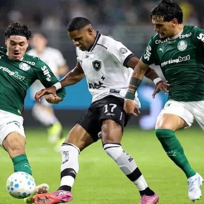 Palmeiras vence o Botafogo e assume liderança do Brasileirão