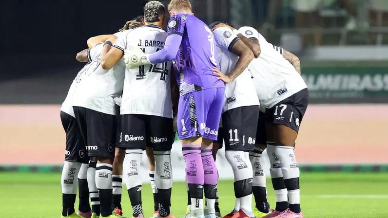 Botafogo perdeu para o Palmeiras pelo Brasileirão (Foto: Vítor Silva/Botafogo)