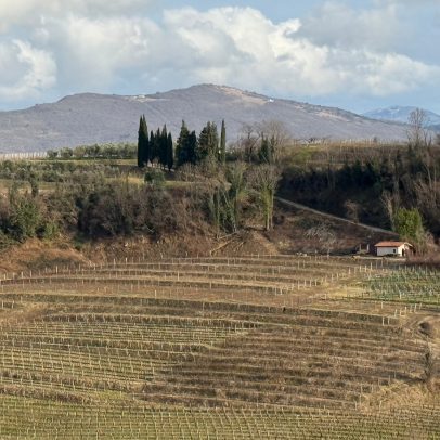 Eslovênia entre os Alpes e o Adriático produz grandes vinhos