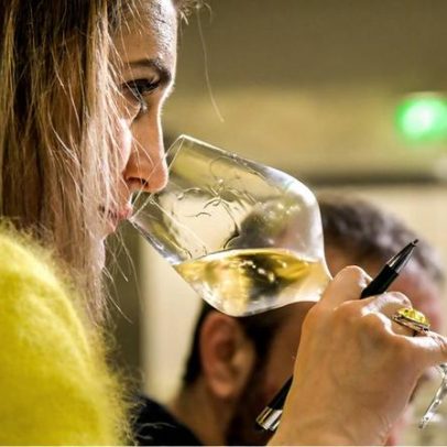 Como os enólogos se posicionam como salvaguardas do vinho francês