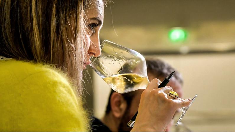 Como os enólogos se posicionam como salvaguardas do vinho francês