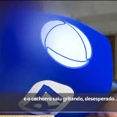 Caso de maus-tratos: cachorro morto a pedradas em Manaus provoca revolta