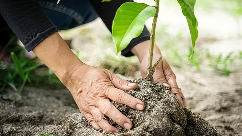 Financiamento para iniciativas comunitárias verdes