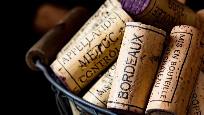 Vinícola de Bordeaux anuncia revolução com vinhos branco, sem álcool e tinto leve