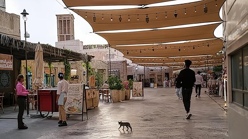 Baterias antiaéreas protegem as costas árabes do Golfo