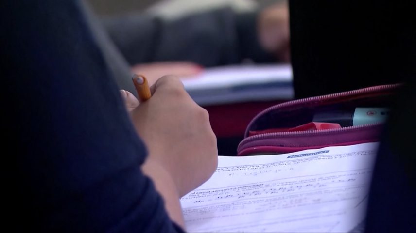 Especialista destaca outras medidas importantes, como o Mulheres Mil, que foca no ensino superior