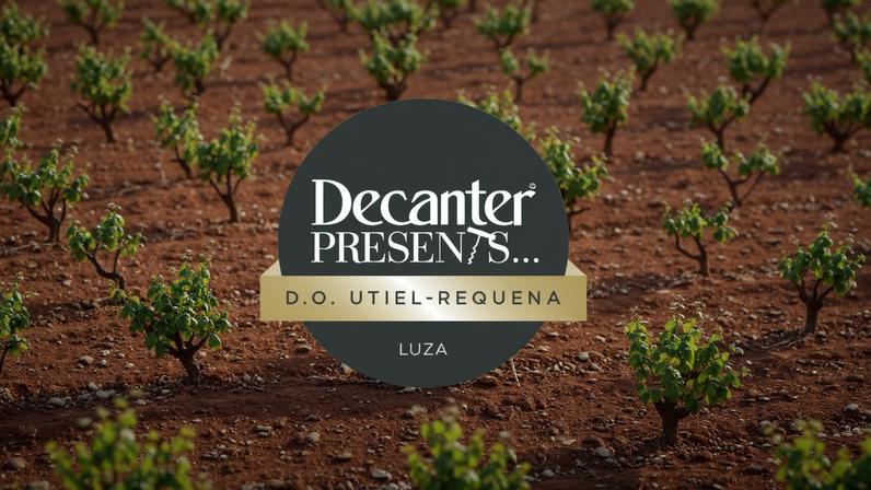'Decanter Presents... Utiel-Requena' logo on top of background of orange soil with small green vines