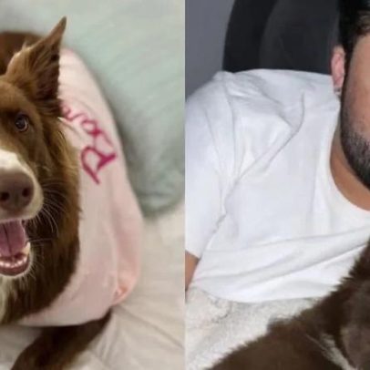 Influenciador é acusado de abandonar cachorrinha em creche; circula com nova cadela