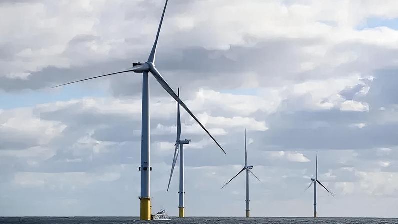 Forestry England inicia fase inicial de plano para parque eólico