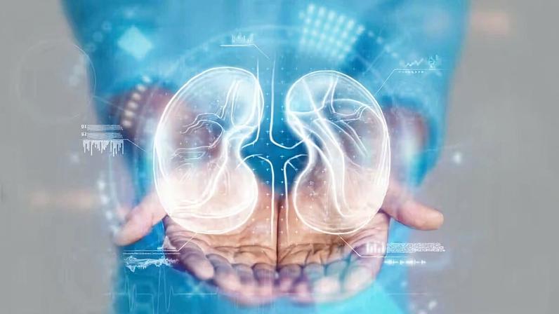 Câncer de rim: 8 mitos e verdades desvendados