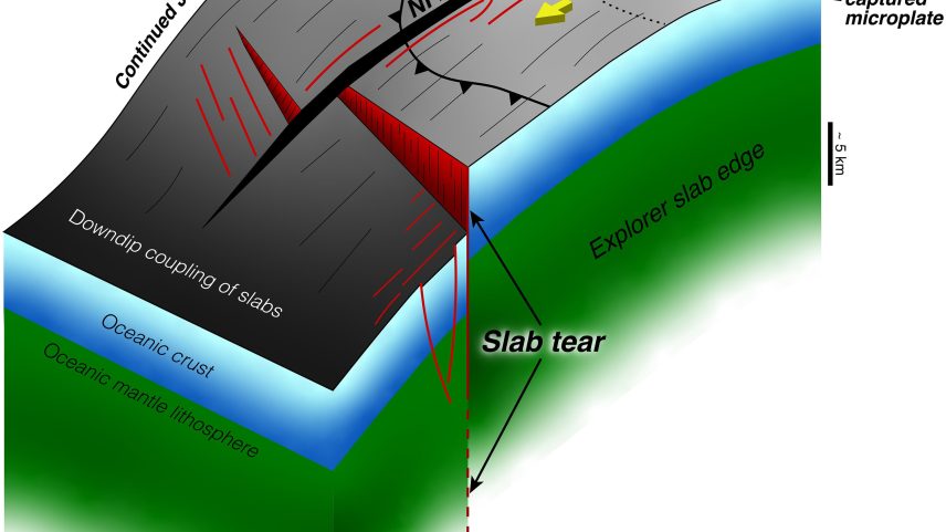 Fenômeno raro no fundo do Oceano Pacífico intriga cientistas
