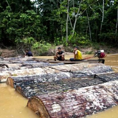 Comissão de Direitos Humanos pede ao Peru proteger Kakataibo isolado