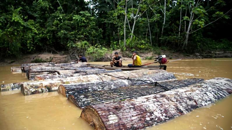 Comissão de Direitos Humanos pede ao Peru proteger Kakataibo isolado