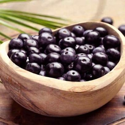 Açaí: estudo mostra impactos no cérebro e no humor