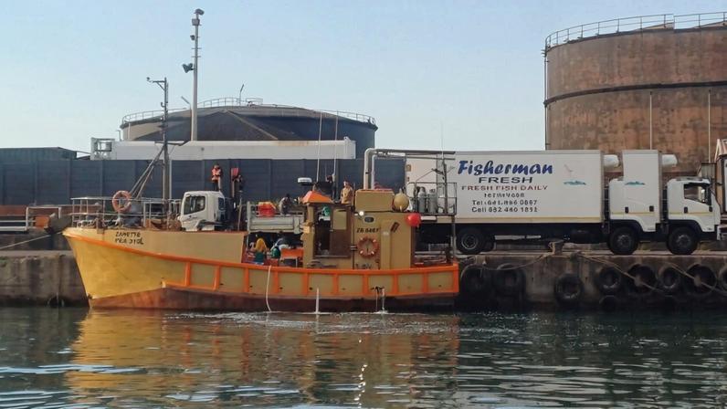 Investigação de licenças na pesca de tubarões na África do Sul ainda em apuração