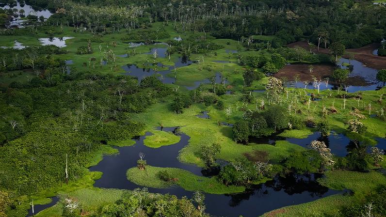 O resultado é paradoxal: as soluções estão onde os recursos não chegam; na sociobioeconomia, especialmente na Amazônia e em outros biomas, isso é ainda mais evidente