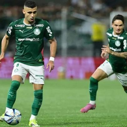 Novorizontino x Palmeiras: bola na trave e falha de Carlos Miguel