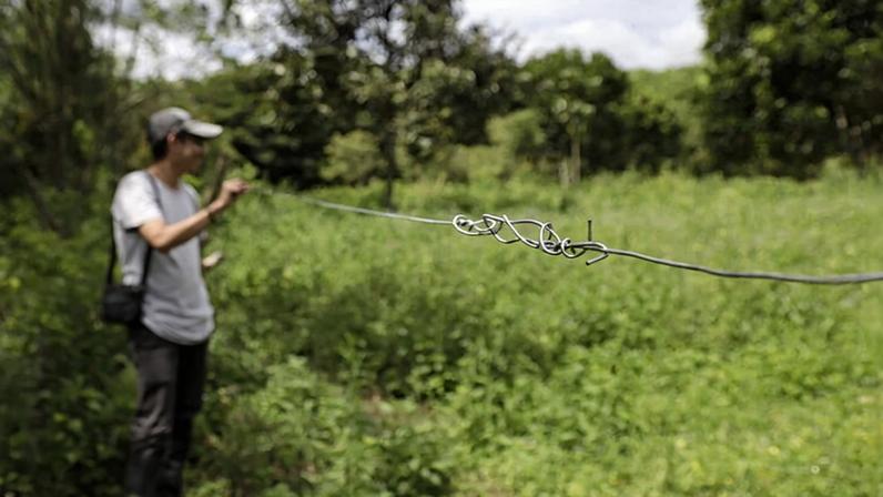 The electric current flowing through the fences not only endangers elephants but also humans and other wildlife.