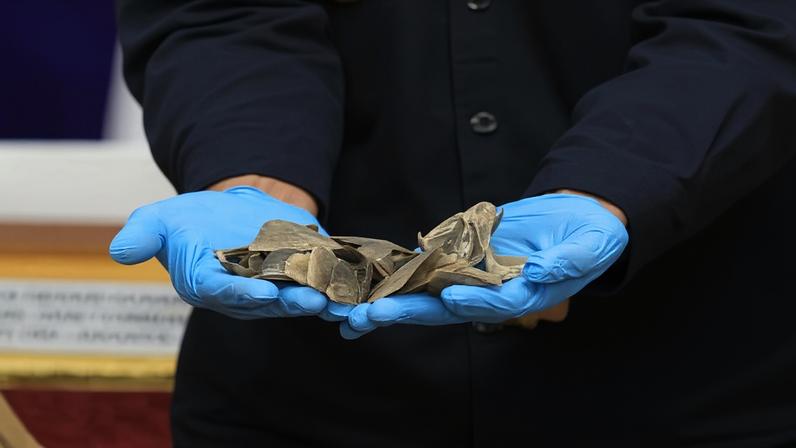 Autoridades de Jacarta apreendem 3 t de pangolim em contêiner para Camboja