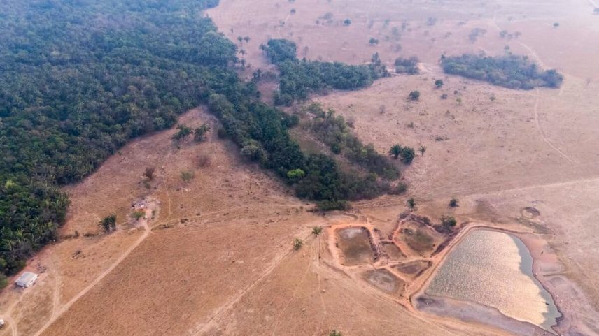 agropecuária regenerativa avança no Brasil, mas desmatamento persiste