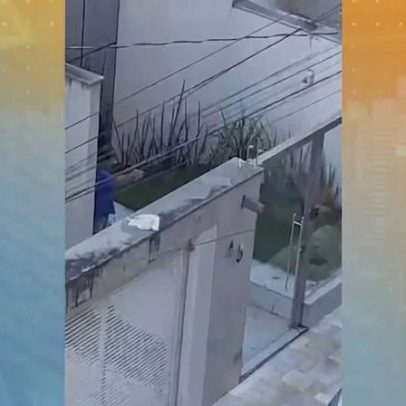 Homem que matou cachorro é solto após pagar fiança de R$20 mil em MG