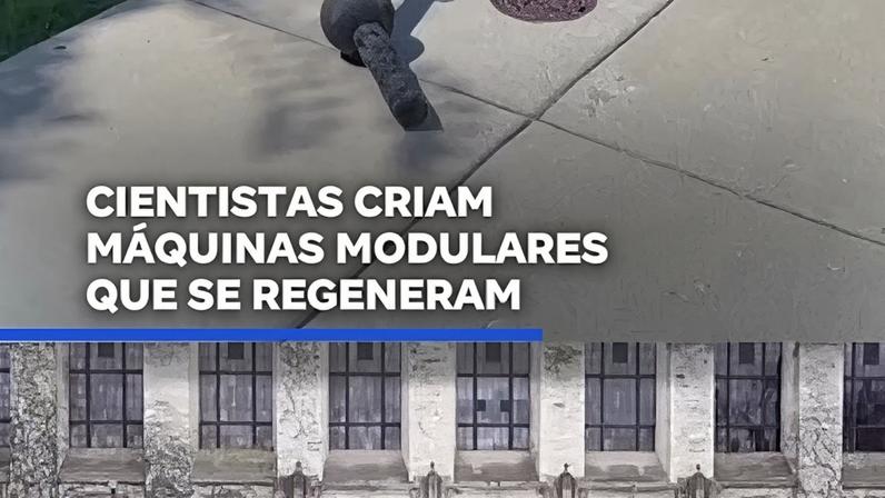 Cientistas desenvolvem máquinas modulares com capacidade de regeneração