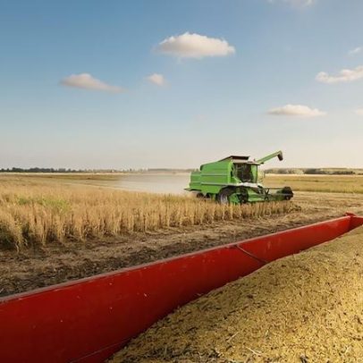 Outono de 2026 afeta plantio e colheita