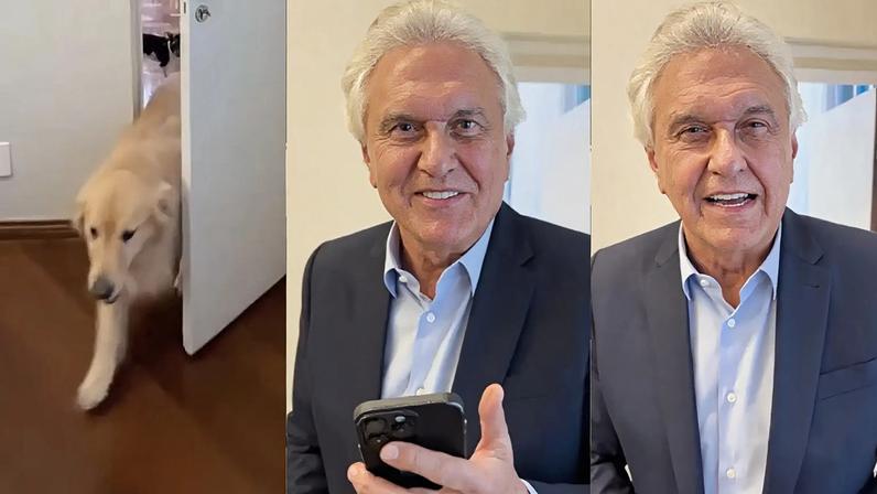 Ronaldo Caiado rebateu fala de Lula sobre endividamento com pets. (Foto: Reprodução/Instagram)