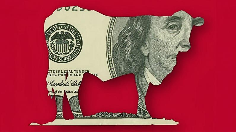 Carne Bovina: principais fatores que afetam preço e disponibilidade