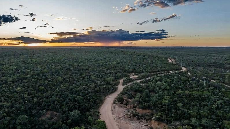 Cerrado ameaçado, mas essencial à biodiversidade e à água no Brasil