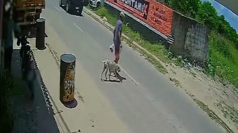 Imagem do cachorro pendurado