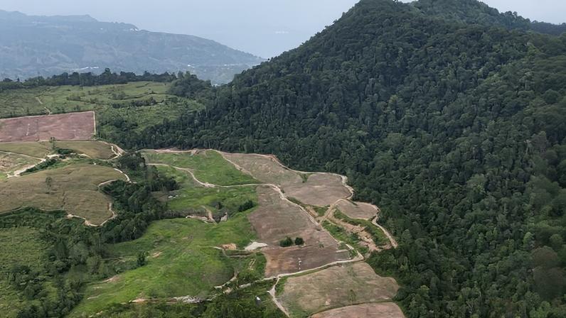 Comunidades na Indonésia buscam retomar terras após revogação de licenças